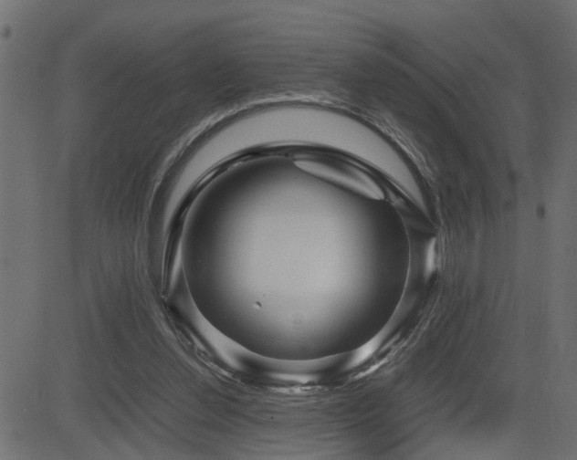 X0000082950252200702011249