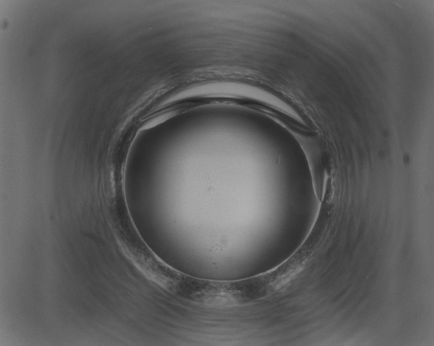 X0000082950254200702011249
