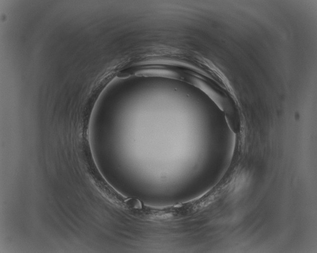 X0000082950257200702011249
