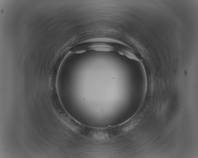 X0000082950258200702011249