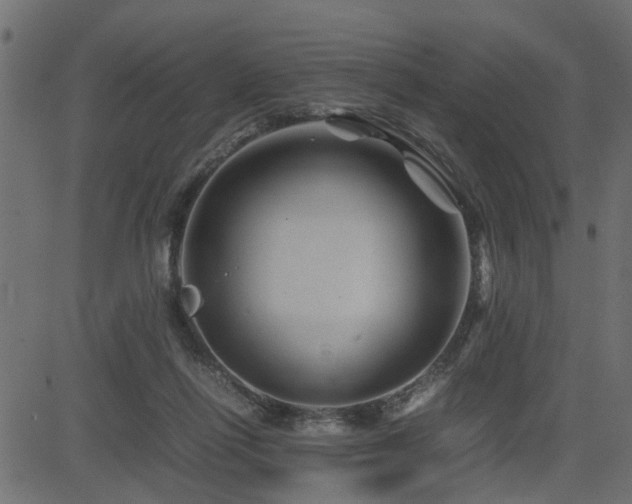 X0000082950262200702011249