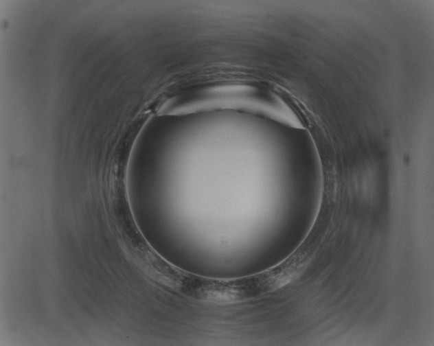 X0000082950263200702011249