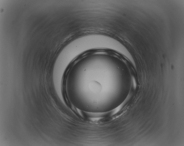 X0000082950264200702011250