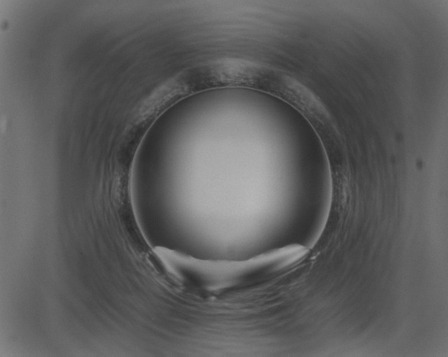 X0000082950266200702011250