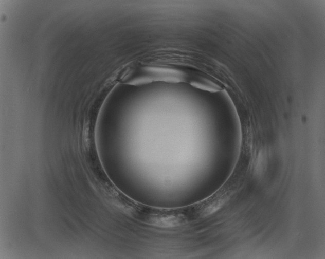 X0000082950267200702011250