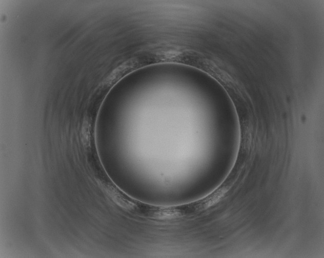 X0000082950274200702011250