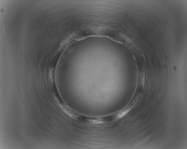 X0000082950286200702011250