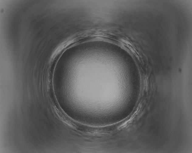 X0000082950293200702011249