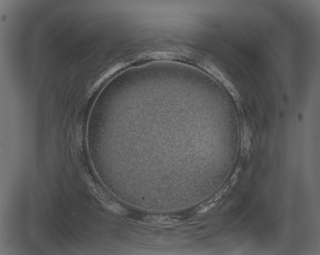 X0000082950297200702011249