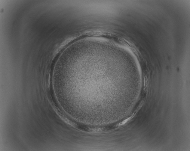 X0000082950301200702011249