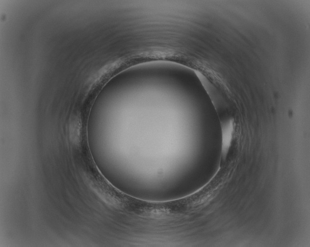 X0000082950304200702011249