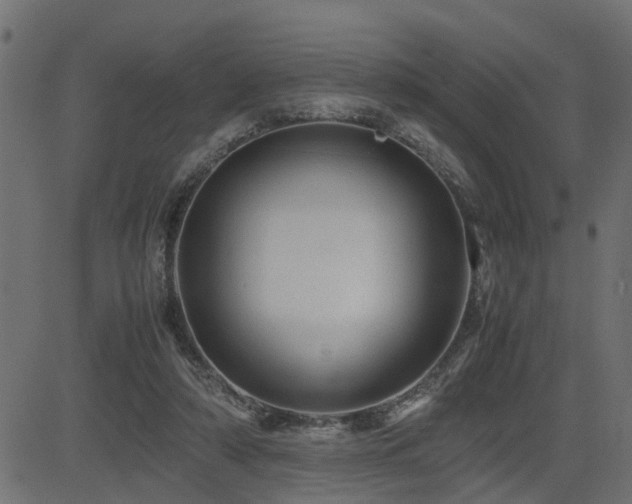 X0000082950306200702011249