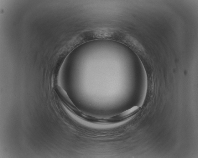 X0000082950315200702011249