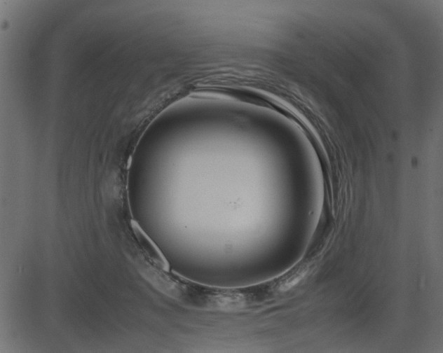 X0000082950317200702011249