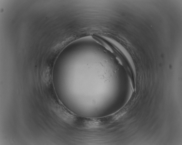 X0000082950318200702011249