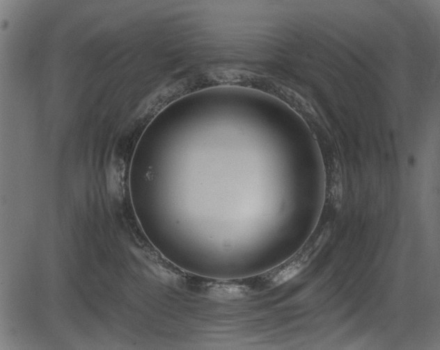 X0000082950332200702011248