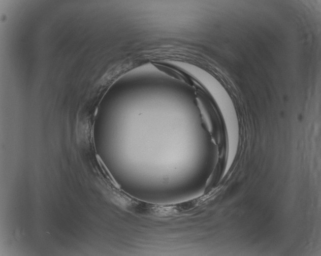 X0000082950333200702011248