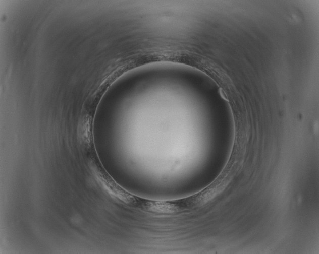 X0000082950336200702011248