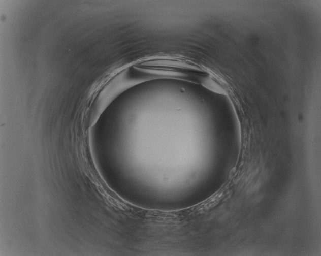 X0000082950337200702011248