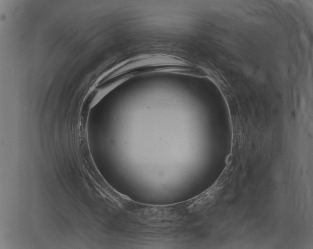X0000082950338200702011248