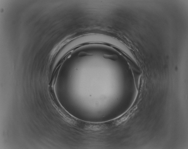 X0000082950341200702011248