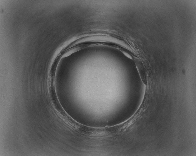 X0000082950342200702011248