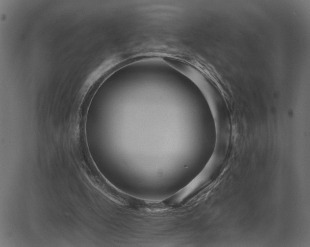 X0000082950344200702011248