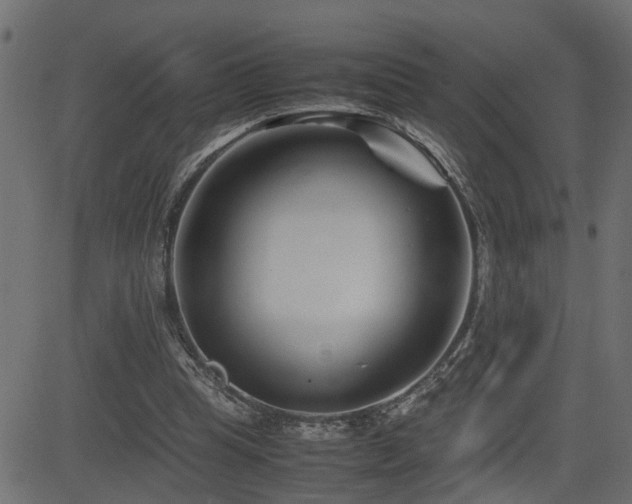 X0000082950345200702011248