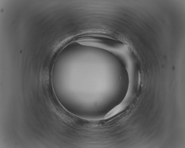 X0000082950348200702011248