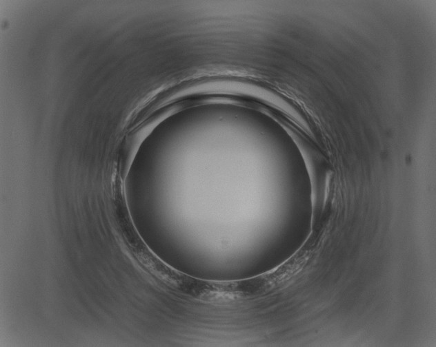 X0000082950352200702011248