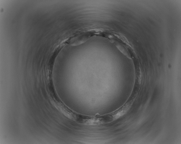 X0000082950366200702011248