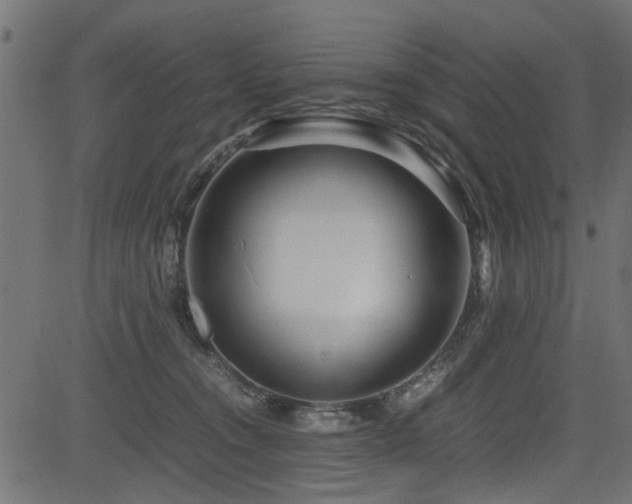 X0000082950372200702011248