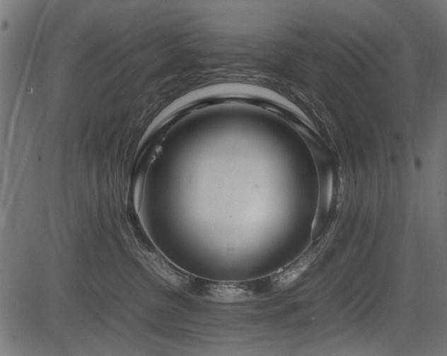 X0000082950380200702011248