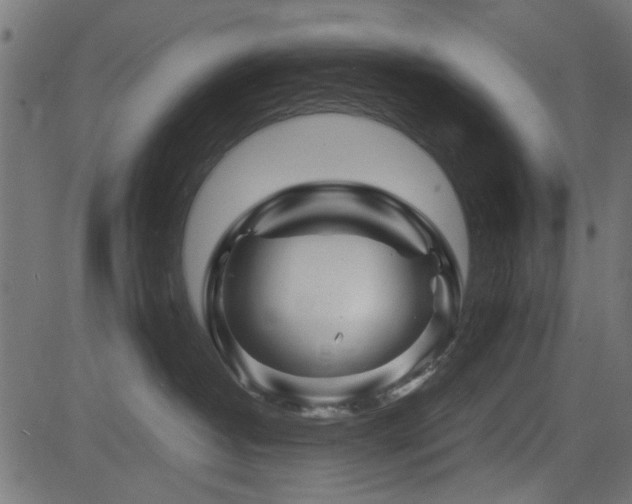 X0000082950382200702011248