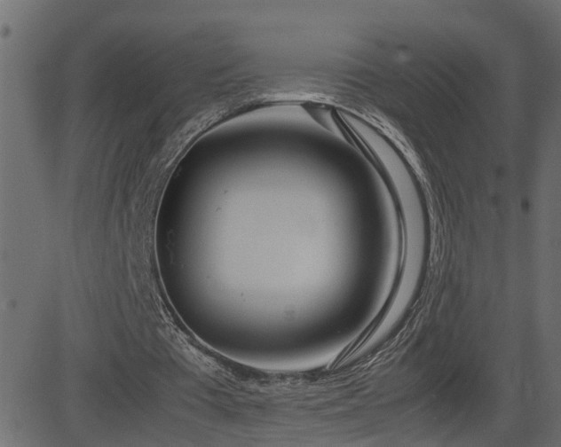 X0000082950385200702011248