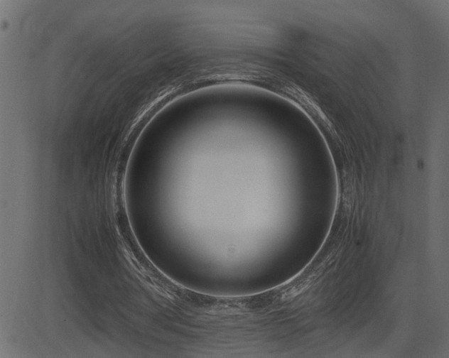 X0000082950386200702011248