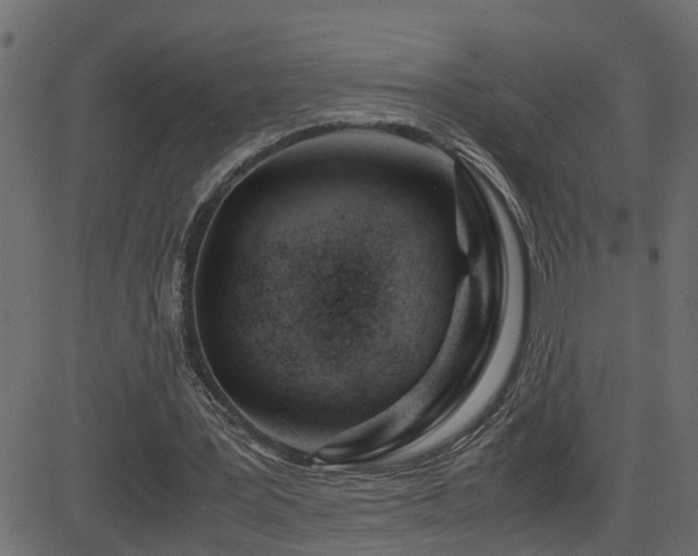 X0000082950387200702011248
