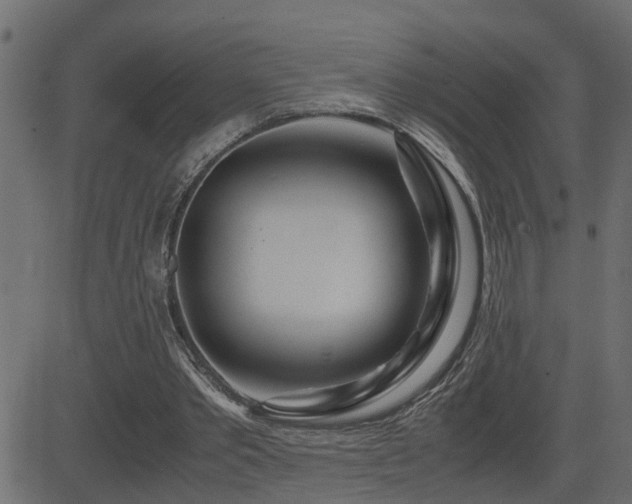 X0000082950389200702011247