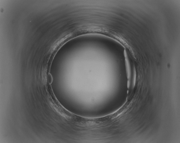 X0000082950390200702011247