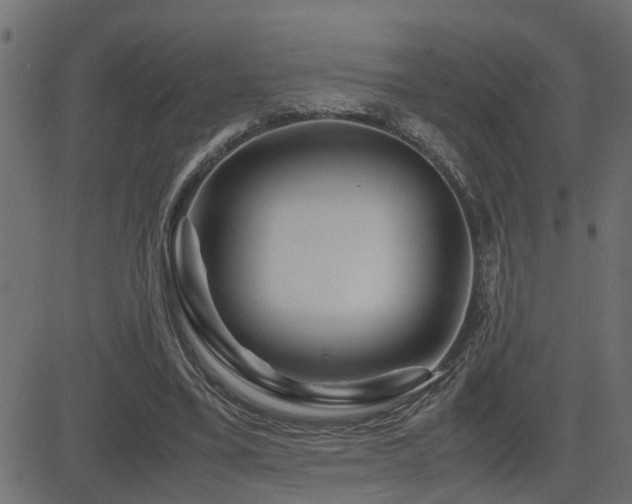 X0000082950395200702011247