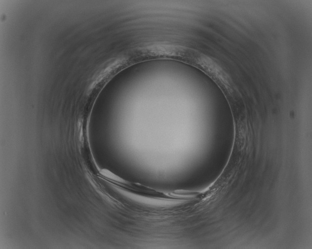 X0000082950398200702011247
