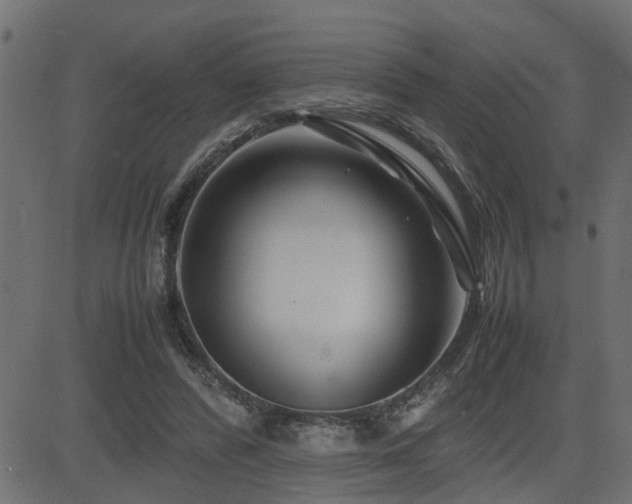 X0000082950400200702011247