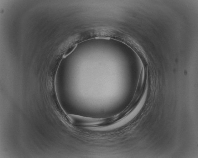X0000082950401200702011247