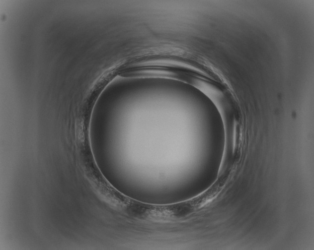 X0000082950403200702011247