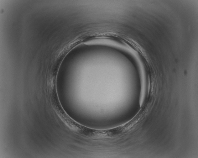 X0000082950405200702011247