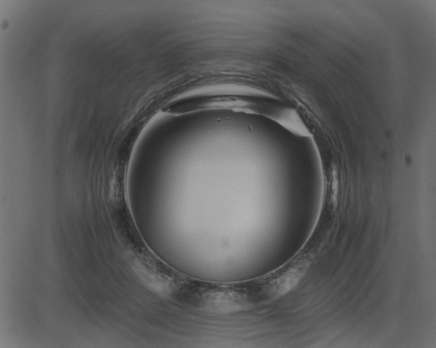 X0000082950408200702011247