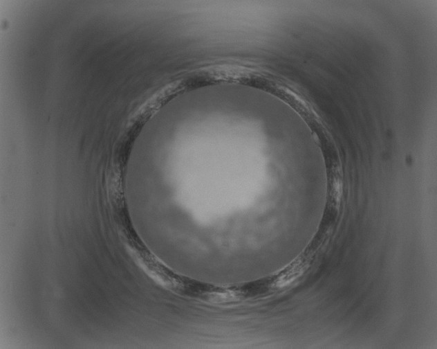 X0000082950411200702011247