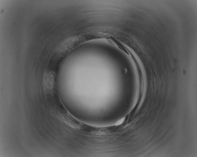 X0000082950412200702011247