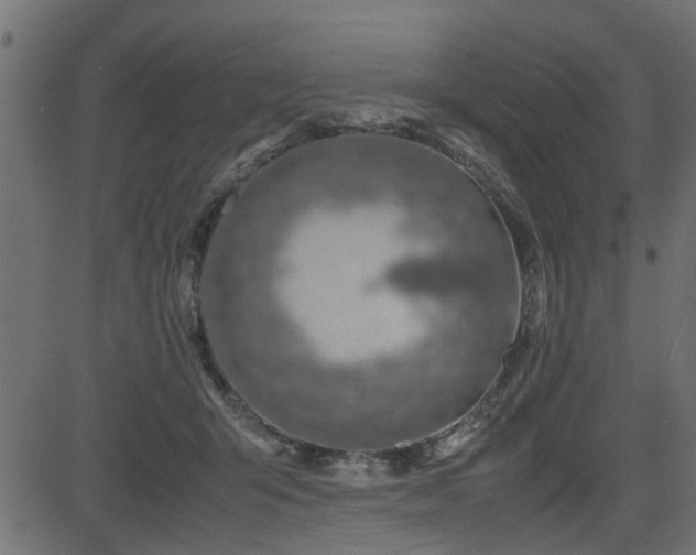X0000082950415200702011247