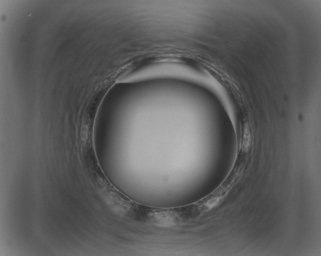 X0000082950417200702011247